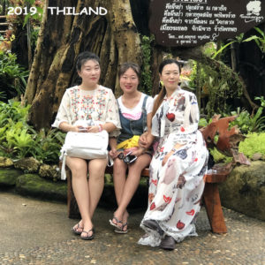 Monthly Activity, Monthly Activity