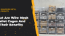 What Are Wire Mesh Pallet Cages And Their Benefits