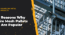 3 Reasons Why Wire Mesh Pallets Are Popular